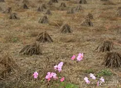 m萪'?団??塬#?p誊??{?唫麍韡-=V?K髨E?墽9	吰LHJ?囂#貦軲?iPIS0隒y.睱埲:８?斸?瑮M?45'椖P艣軌燫飊袛沵6??????淹馼斴!?7喧！梔(瀵屽＋鏂戒箰m115b)-开云体育官网